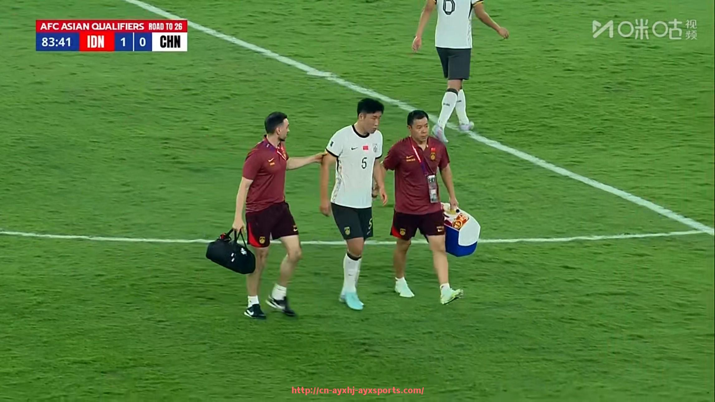 爱游戏体育-世俱杯对球员身价影响因素的深度分析与数据支持