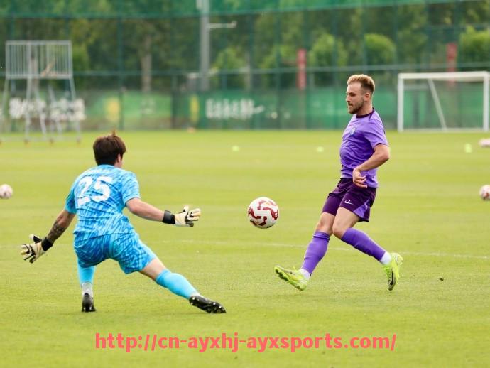 爱游戏体育-世俱杯球员临门一脚技术稳定性与破门效率评估