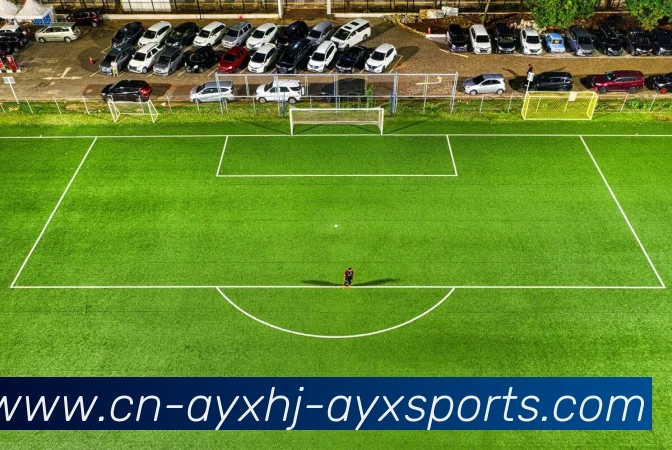 多媒体互动体验