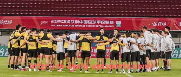 爱游戏体育-世俱杯历史赛事红牌判罚数据及严重犯规回放集锦